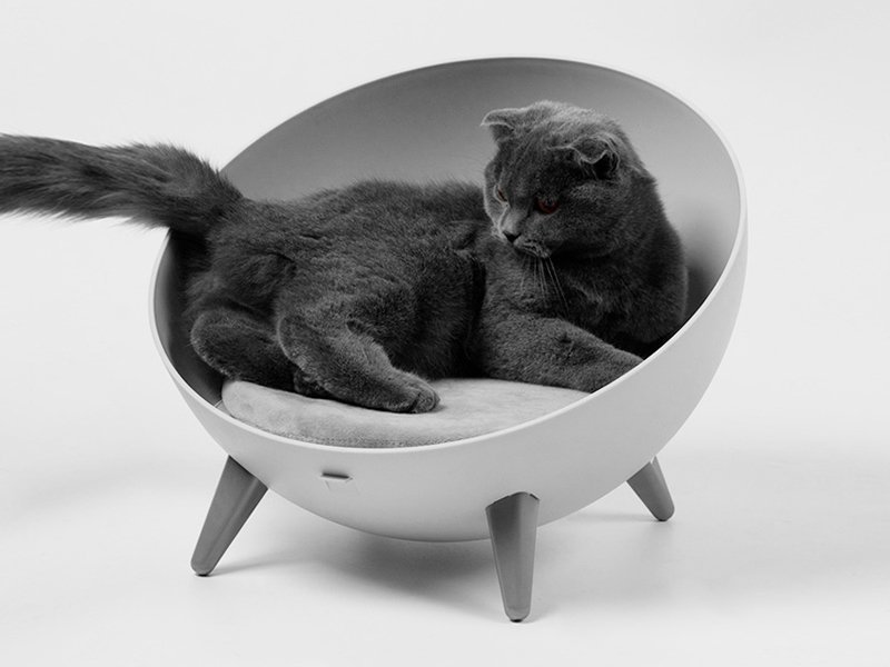 cat chair bed